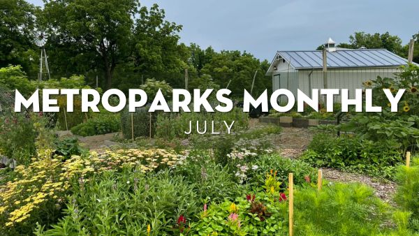 MetroParks Monthly: Programs & Events for July